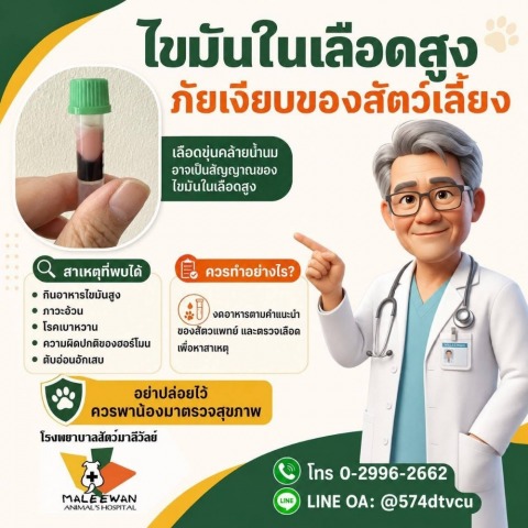 โรงพยาบาลสัตว์มาลีวัลย์ (16)